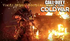 Call of Duty Black Ops Cold War: So entfernen Sie Gesundheitsriegel