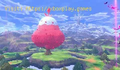 Pokémon The Crown Tundra: Como fazer o Pokémon segui-lo