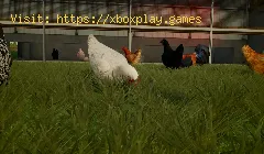 Farming Simulator 22: Wie man Hühner aufzieht