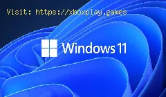 Windows 11: come correggere il codice di errore 0x80070002-0x20009