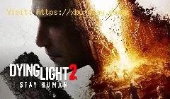 Dying Light 2: So beheben Sie den Authority Pack-Fehler