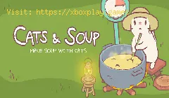 Cats and Soup: come aumentare la felicità dei gatti