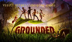cómo arreglar el multijugador no funciona en Grounded