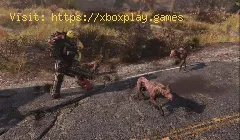 Dónde encontrar caninos en Fallout 76