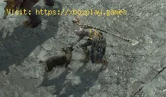 Cómo conseguir la primera mascota en Diablo 4
