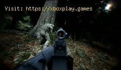 How To Fix Bodycam FPS Drops?