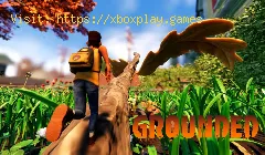 Grounded: où trouver le marqueur Step Top