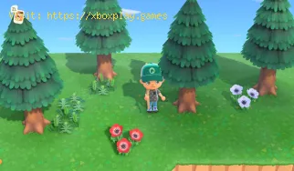 Animal Crossing New Horizons: Cómo conseguir piñas