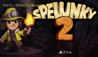 Spelunky 2: How to Play With Friends