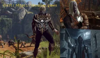 Baldur's Gate 3: Cómo conseguir una mascota
