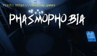 Phasmophobia: Verwendung der IR-Taschenlampe