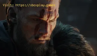 Assassin's Creed Valhalla: onde encontrar todas as páginas do Co