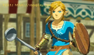Hyrule Warriors Age of Calamity: Cómo conseguir Monk Maz Koshia