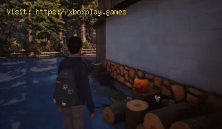Guide to Life is Strange 2 Episode 3: So erhalten Sie alle Sammlerstücke und Zeichnungen