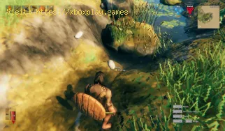 Valheim: How to Get Flint - tips and tricks