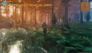 Valheim: Where to find Silver