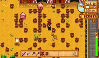 Stardew Valley: Comment obtenir des truffes - trucs et astuces