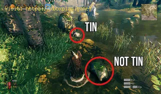 Valheim: How to Get Tin