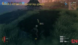 Valheim: So finden Sie Gerste