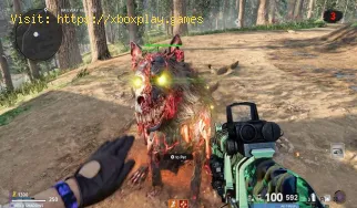 Call of Duty Black Ops Cold War: How to pet hellhounds in Zombies