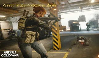 Call of Duty Black Ops Cold War: How to Fix 345 Blazing Gator Error