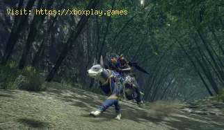 Monster Hunter Rise: Como preencher o formulário de intercâmbio cult