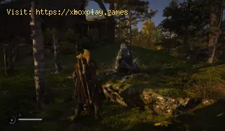 Assassin's Creed Valhalla: Onde encontrar todo o minério de ferr
