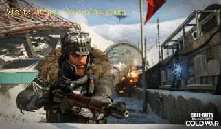 Call of Duty Black Ops Cold War: How to Fix Error Code Bravo 433 Destr