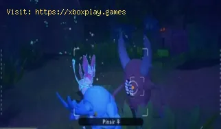New Pokemon Snap: cómo completar mejores amiguitos