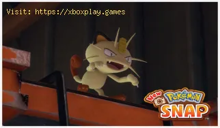 New Pokémon Snap: Cómo completar la habitación vacía