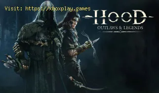 Hood Outlaws and Legends: How to Fix Crashes, Black Screen and others