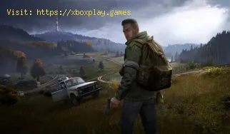 DayZ: Como fazer uma fogueira - dicas e truques