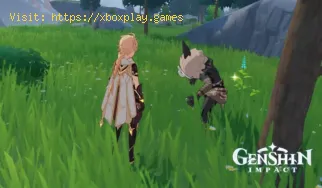 Genshin Impact: Was bedeutet Celi Lata?