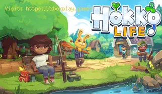 Hokko Life: How to pass time