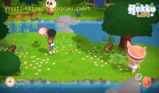 Hokko Life: How to move objects