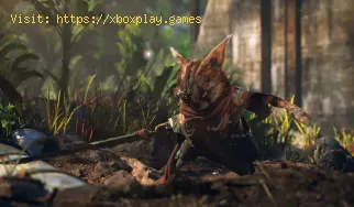 Biomutant: How to Get Superb Loot