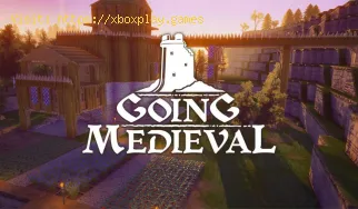 Going Medieval: So beheben Sie den Unity-Fehler 2020.2.1f1_270dd8c3da1