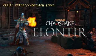 Warhammer: Chaosbane Gran Mago elfo: cómo construir Weave n Beam 