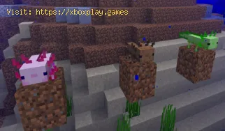 Minecraft: Como criar Axolotl - dicas e truques