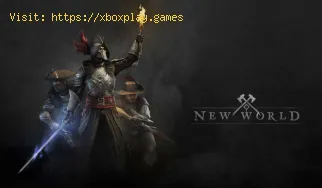 New World: guia de expedição