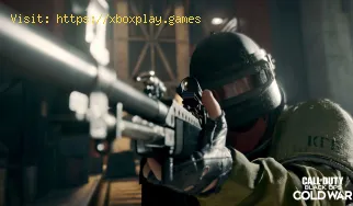 Call of Duty Black Ops Cold War: How to fix Bravo 381 Invisible Gator 