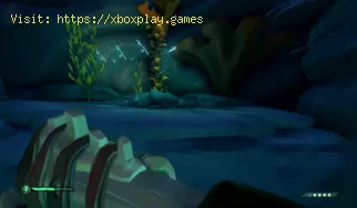 Sea Of Thieves: Cómo obtener el corazón de sirena en la temporada 3