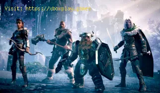 Dungeons and Dragons Dark Alliance - Kannst du den gleichen Charakter 