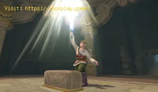 Legend of Zelda Skyward Sword HD: dove trovare il gatto in Skyloft