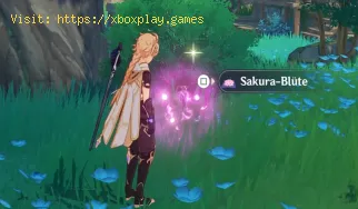 Genshin Impact: Wo man Sakura-Blüten findet