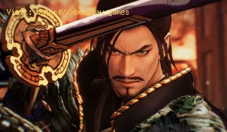 Samurai Warriors 5 : Réparer le poulet manquant après le festival