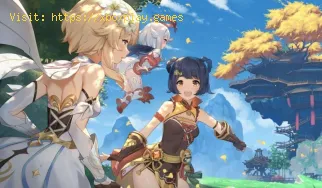Genshin Impact: So beheben Sie einen Parameterfehler