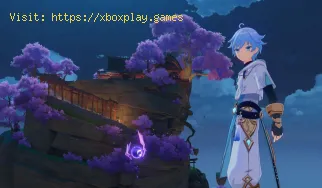 Genshin Impact: Wo finde ich alle Inazuma City Electroculus