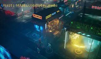 The Ascent: Fehlerbehebung bei Ultrawide-Problemen