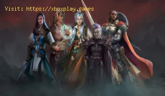Pathfinder Wrath of the Righteous: quale compagno scegliere Lann o Wen